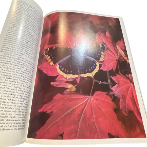 Audubon Nature Yearbook 1987 Book By Grolier Books Nature Photography & Wildlife - Picture 9 of 9